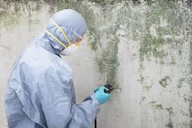 Mold Remediation for Rental Properties in Lincoln Park, NJ